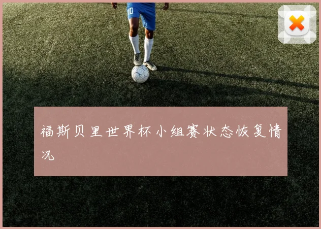 福斯贝里世界杯小组赛状态恢复情况