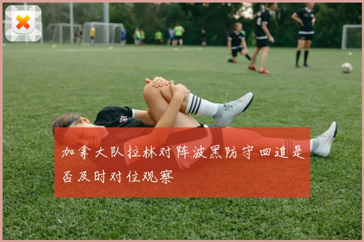 加拿大队拉林对阵波黑防守回追是否及时对位观察