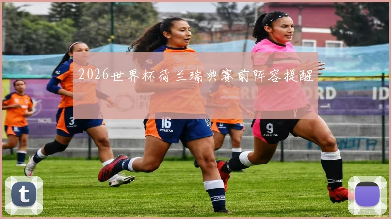 2026世界杯荷兰瑞典赛前阵容提醒