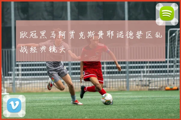欧冠黑马阿贾克斯费耶诺德禁区乱战经典镜头