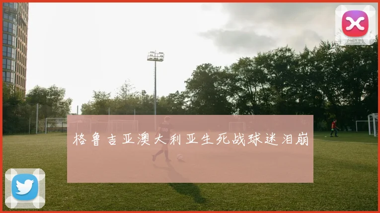 格鲁吉亚澳大利亚生死战球迷泪崩