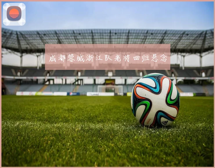 成都蓉城浙江队老将回归悬念