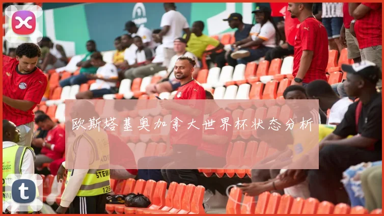 欧斯塔基奥加拿大世界杯状态分析