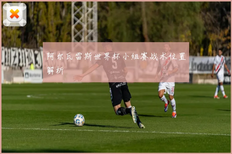 阿尔瓦雷斯世界杯小组赛战术位置解析