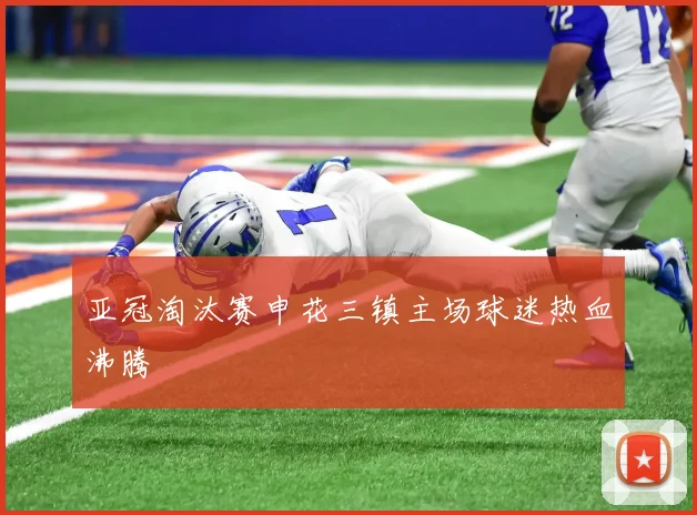 亚冠淘汰赛申花三镇主场球迷热血沸腾